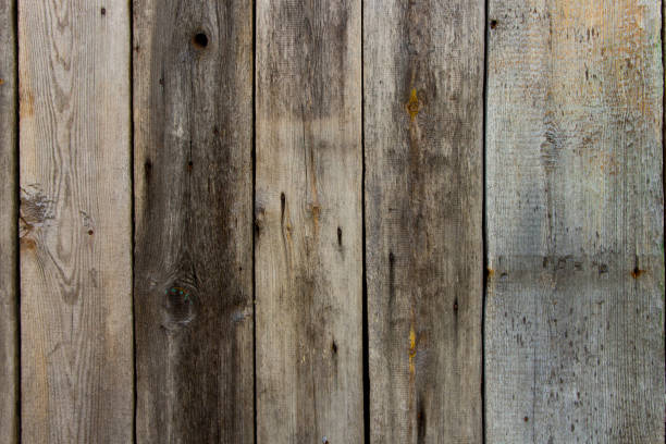 istock Old wooden planks with nails  for background 954198722