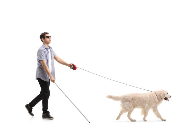 istock Blind young man walking with the help of a dog 954212280