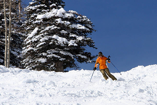 Skiing stock photo