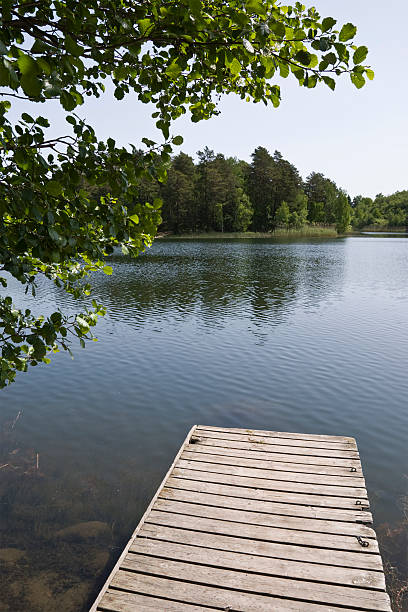 istock Jettty in lake 95421511