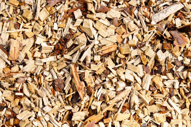 istock Large sawdust, background , wood texture 954215782