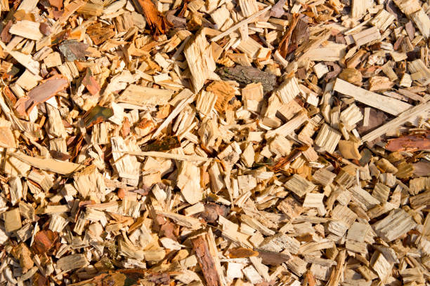 istock Large sawdust, background , wood texture 954215988