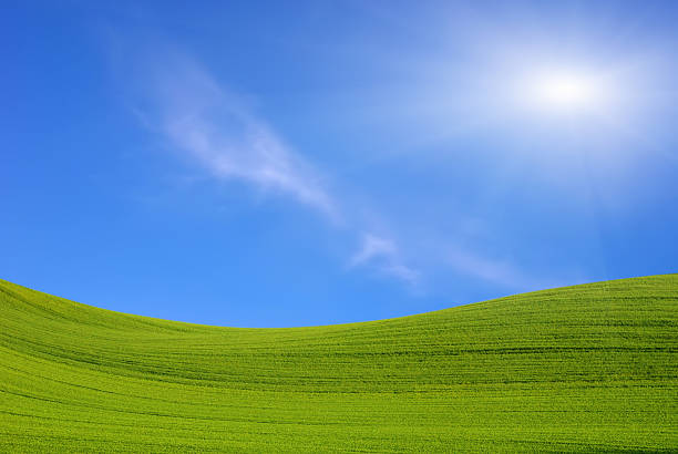 istock Green field and the blue sky with sun 95421889