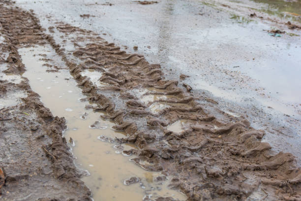 istock Tire tracks on the ground 954220352