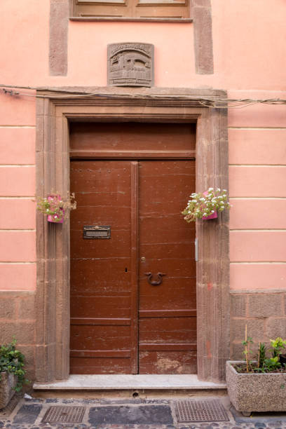 istock Brown front door at a residential building 954226434