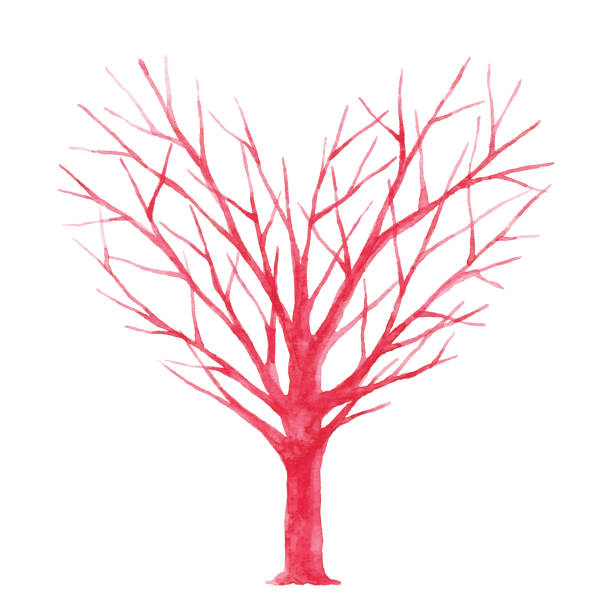 aquarell herzförmigen baum - naked tree stock-grafiken, -clipart, -cartoons und -symbole