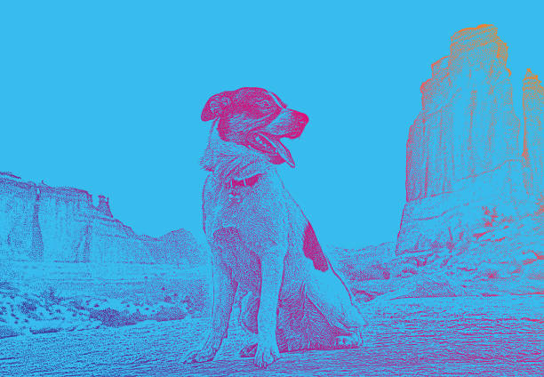 illustrazioni stock, clip art, cartoni animati e icone di tendenza di ritratto di cane nel parco nazionale degli archi. park avenue trail. - arches national park illustrations