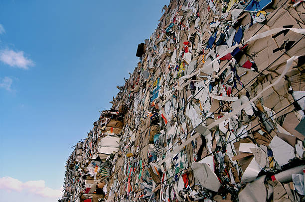 papel baled - recycling paper newspaper garbage - fotografias e filmes do acervo