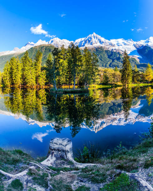 istock Picturesque park in the mountain resort 954240330
