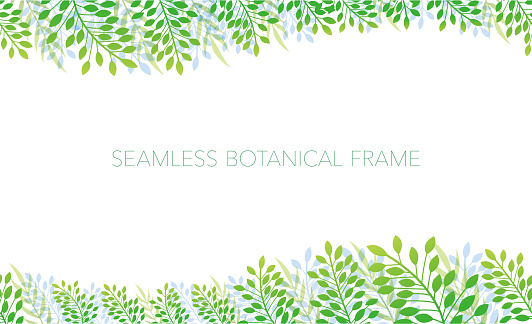 Botanic Frameborder Seamless Botanical Background Frame Stock Illustration - Download Image ...