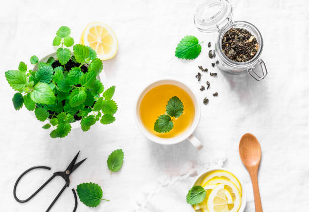 istock Green melissa lemon tea on light background, top view 954241972