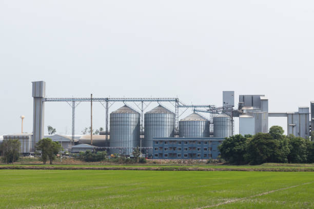 istock animal feed factory and storage silos 954245874