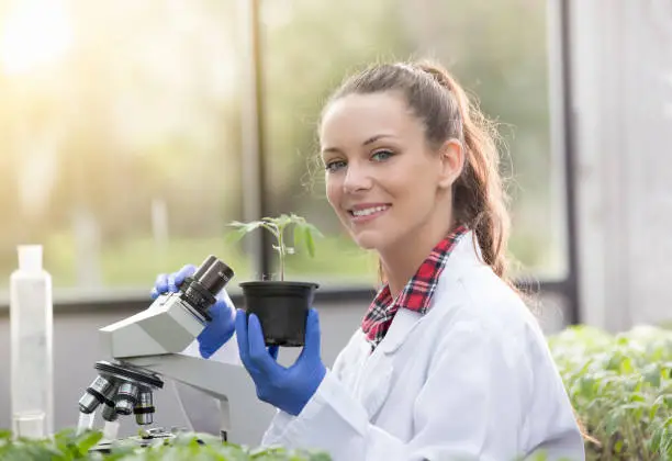 Pretty young woman agronomist holding seedling in flower pot in greenhouse with microscope in background. Plant protection and productivity improvement concept