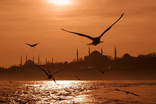 Istanbul in the sunset