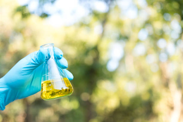 istock Hand holding chemistry science flask,Erlenmeyer flask over green bokeh background,concept for alternative medicine 954249380
