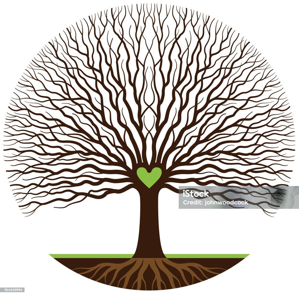 Green heart tree illustration A large tree and roots with a green heart at its centre. Tree stock vector