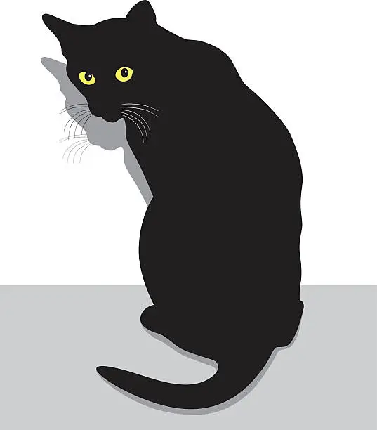 Vector illustration of Afraid Cat