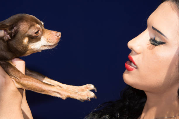istock Beautiful woman and a small dog. 954251124