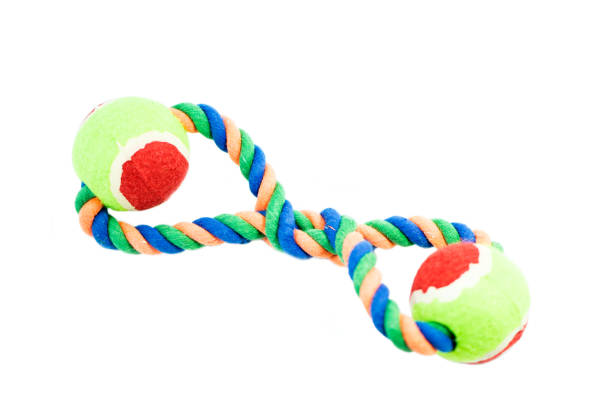 istock Pet Toys on isolated white background. 954252102