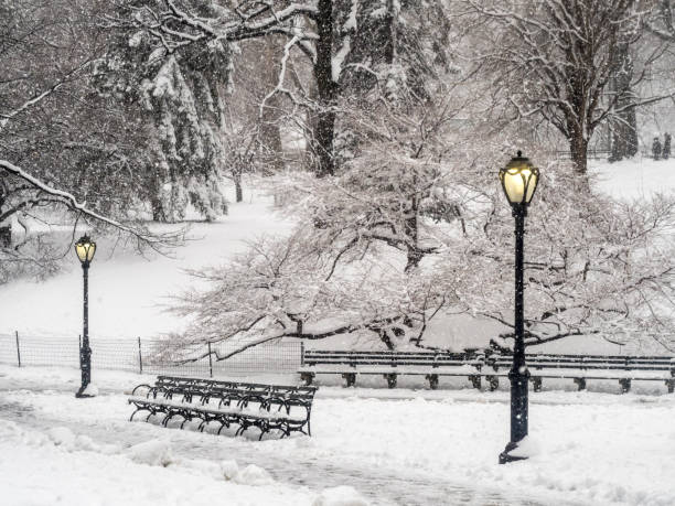 istock Central Park, New York City snow 954252320