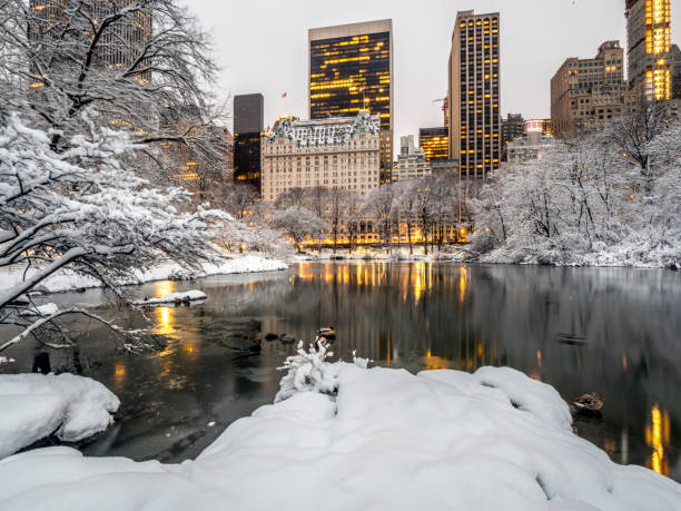 istock Central Park, New York City snow 954255194