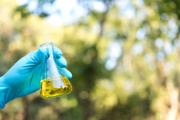istock Hand holding chemistry science flask,Erlenmeyer flask over green bokeh background,concept for alternative medicine 954255836