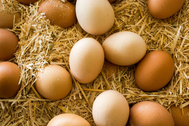 istock Organic fresh farm eggs at the market 954255972