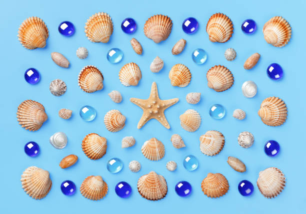 istock Pattern of seashells, starfish, and blue glass beads on a light blue background. 954256522