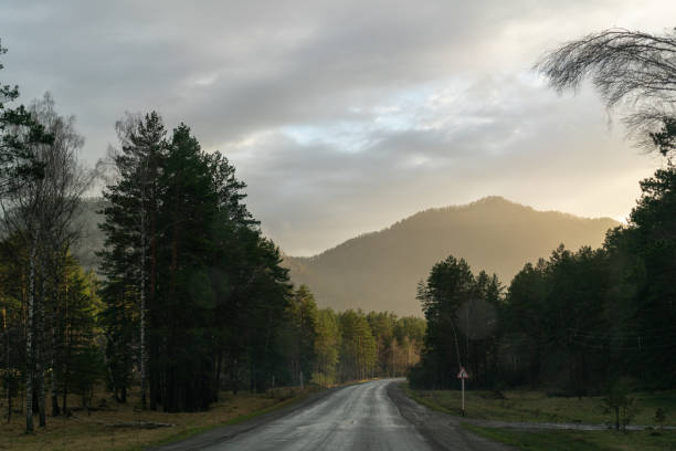 istock road through the forest towards the mountains and sunset. 954259834
