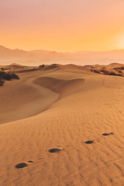 Mesquite Flat Sand Dunes at sunrise with footsteps