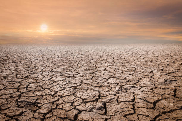 istock Land with dry and cracked ground. Desert,Global warming background 954267464