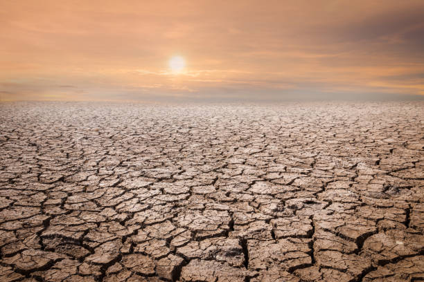 istock Land with dry and cracked ground. Desert,Global warming background 954267690