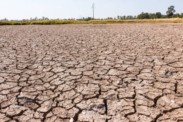 istock Land with dry and cracked ground. Desert,Global warming background 954267854