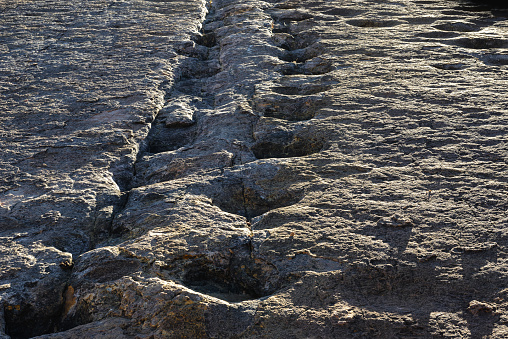 Real dinosaur footprints, Torotoro National Park, Potosi, Bolivia