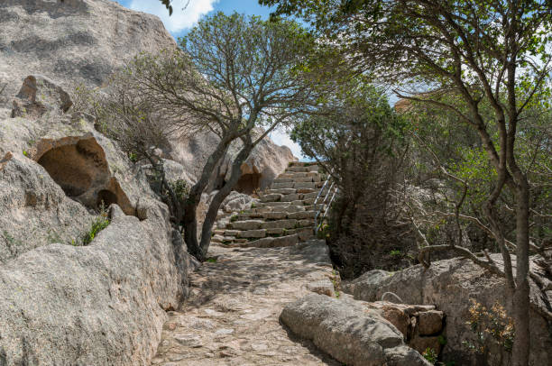 istock stairs and rocks with trees in garden 954271448