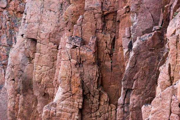 Pink with white veins red granite texture background