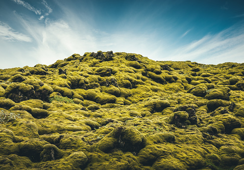 Volcanic rocks covered with green moss in south Iceland.