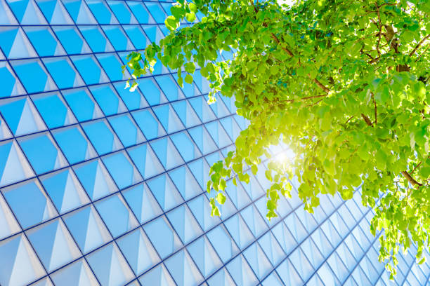 Green Building Architecture Green Building Architecture green building photos stock pictures, royalty-free photos & images