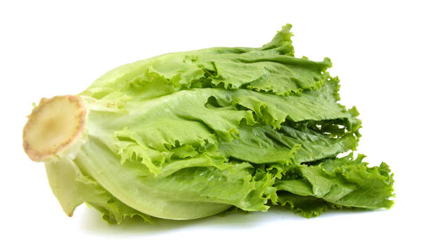 istock lettuce salad, fragment on a white background 954285748