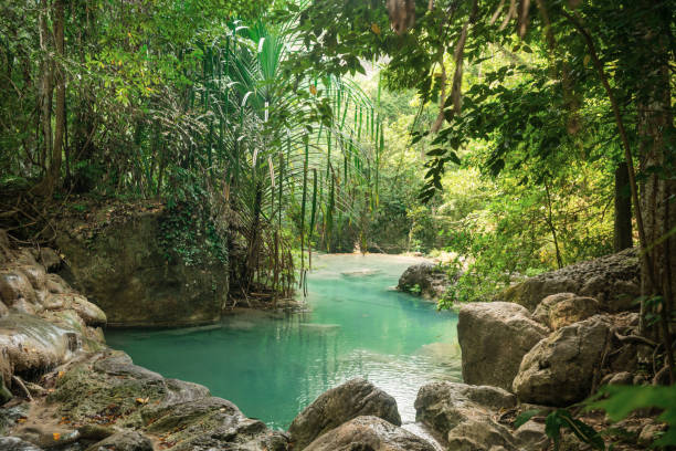 This is a horizontal color photograph of the lush landscape of Southeast Asia travel destination, Erawan Falls National Park in the Kanchanaburi province of Thailand. There are no people.