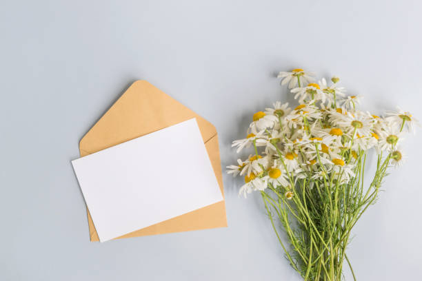 istock Mockup white greeting card and envelope with white daisie 954292352