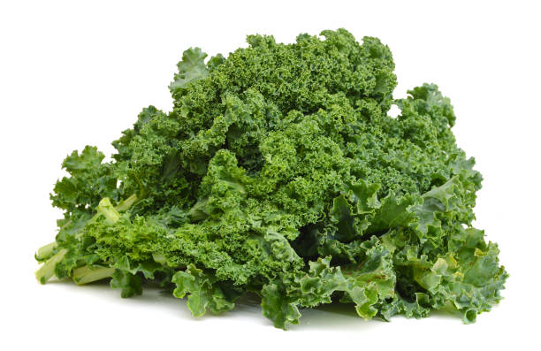 istock freshly harvested whole kale cabbage on a white background 954293802