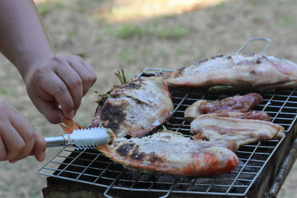istock Man cooking fish,meat on barbecue for family dinner. 954295080