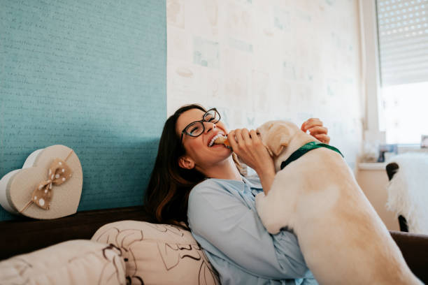 istock Woman having fun at her apartment with her dog. 954296112
