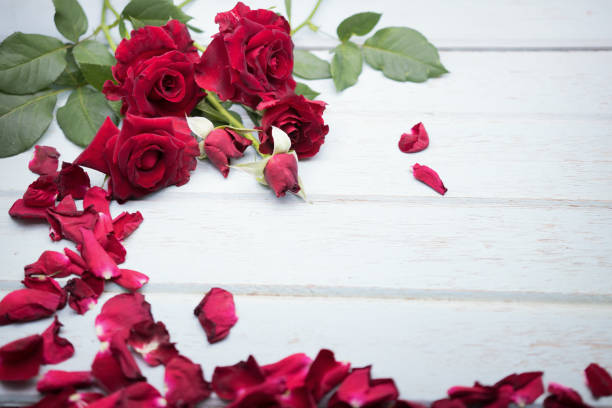 istock Red roses on wooden board background with copy space 954296332