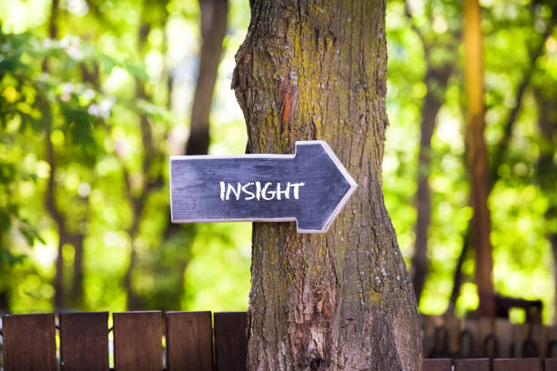 istock Insight concept  wooden sign on tree 954300014