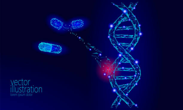 Gene therapy DNA 3D chemical molecule structure low poly. Polygonal triangle point line healthy cell part. Innovation blue medicine genome engineering vector illustration future business technology Gene therapy DNA 3D chemical molecule structure low poly. Polygonal triangle point line healthy cell. Innovation blue medicine genome engineering vector illustration future business technology art gene therapy stock illustrations