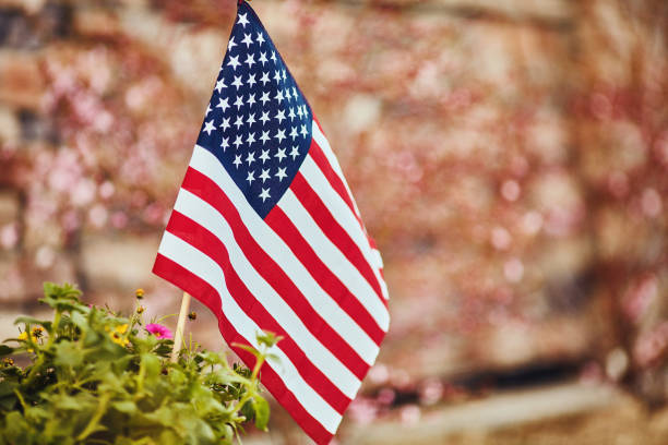 istock American flag surrounded by blossoms and flowers 954306044