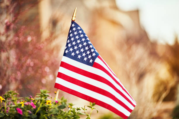 istock American flag surrounded by blossoms and flowers 954306046