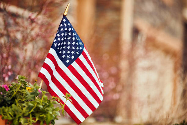 American flag surrounded by blossoms and flowers American flag surrounded by blossoms and flowers american flag flowers stock pictures, royalty-free photos & images